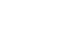 Montecinos Group